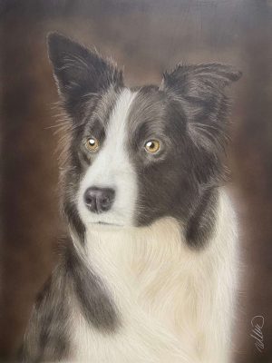 Handgemaltes Portrait eines Border Collies in Schwarz-Weiß mit warmem braunem Hintergrund – Auftragsmalerei von DineshArt